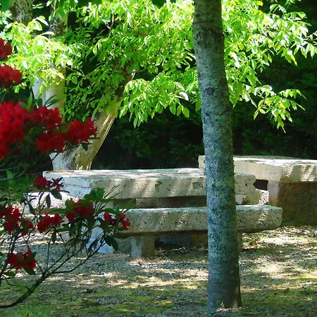 Casa Torres Da Facha ポンテ・デ・リマ